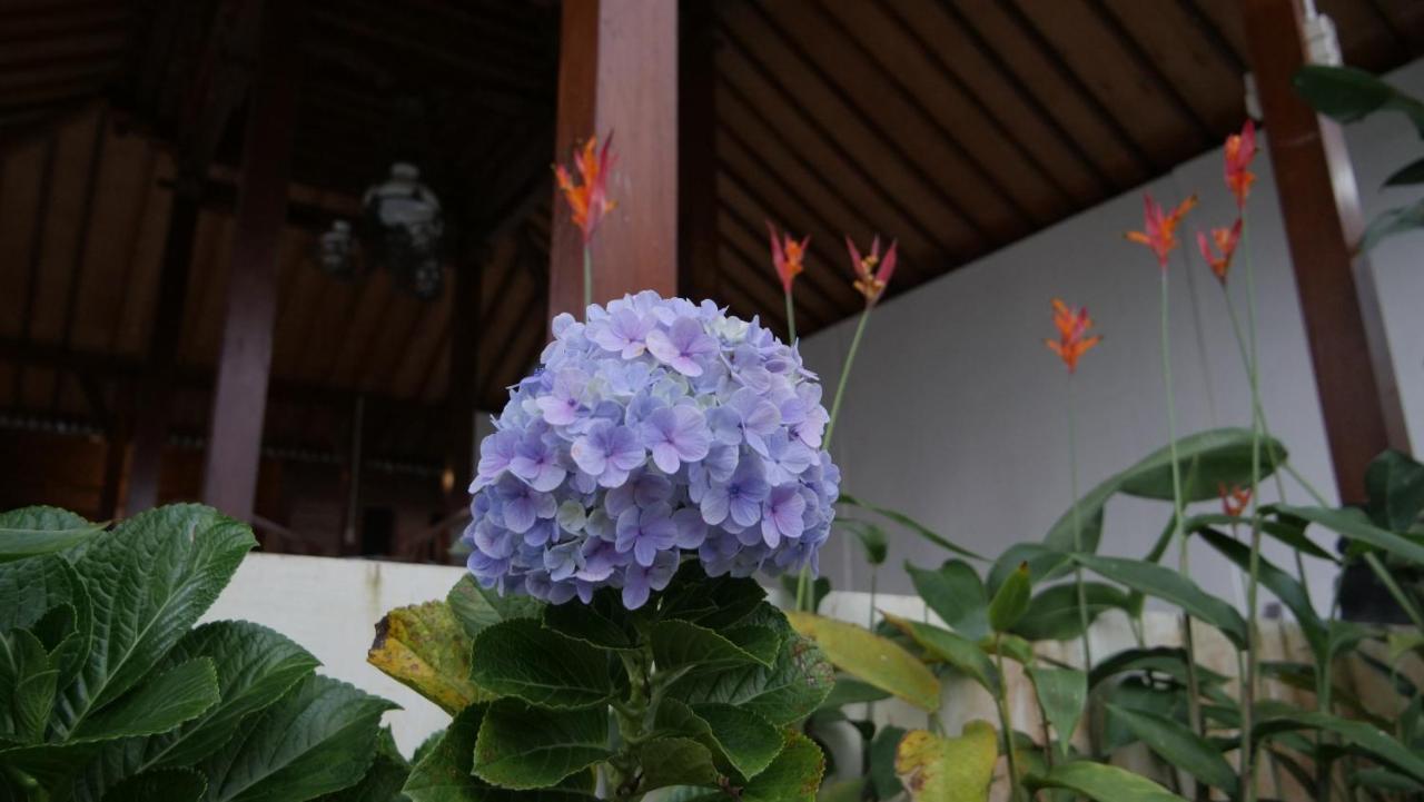 Kemuning Sanggar Pantcha Indra旅馆 外观 照片