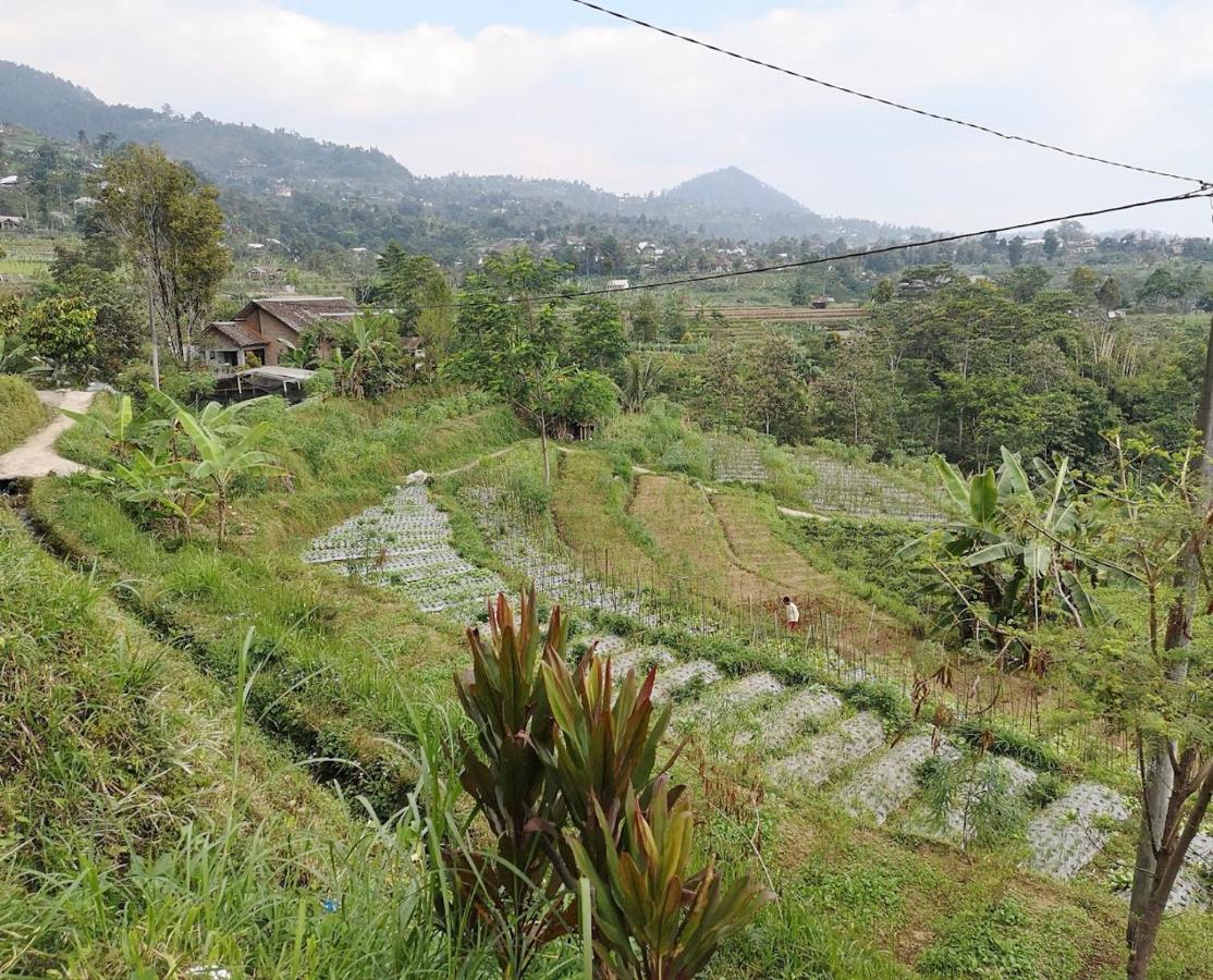 Kemuning Sanggar Pantcha Indra旅馆 外观 照片